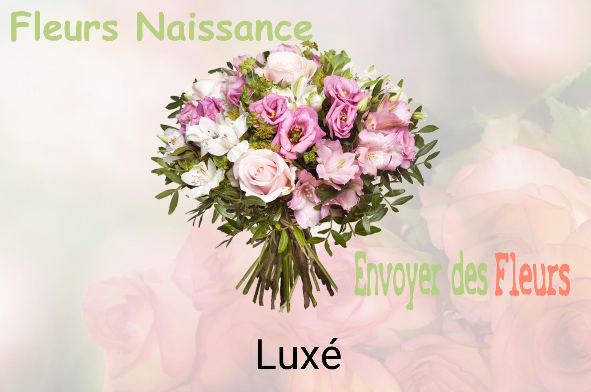Bouquet de fleurs de naissance livré à Luxé
