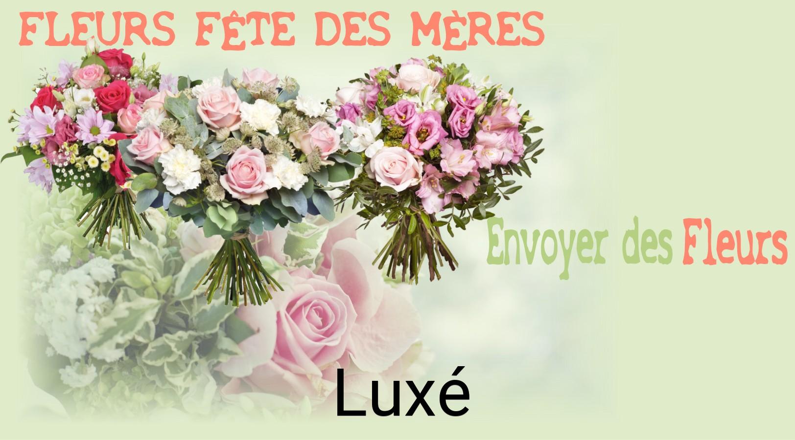 Bouquet de Fête des Mères livré à Luxé